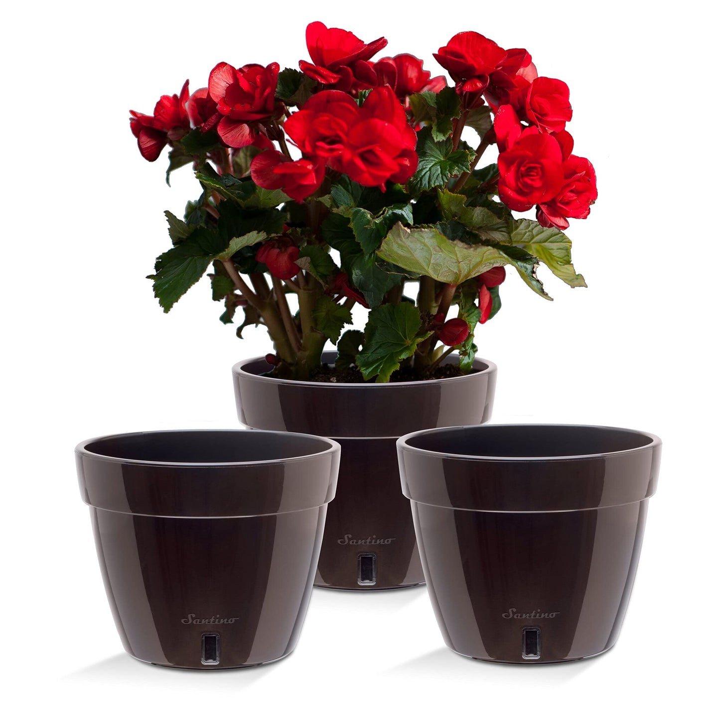Santino AST 7.9 Inch Self Watering Planter Black-Gold/Black - Set of 3 for Indoor Plants - Premium Quality Plastic Pot with Water Level Indicator for All House Herbs, African Violets and Dahlias