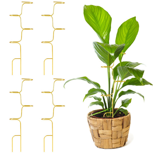 succulentlovers 4PCS Indoor Plant Support Stakes, 12.6 Inch Metal Monstera Plant Supports, Indoor Plant Trellis Plant Stem Holder Support for Indoors & Outdoor Garden Plants Stabilization and Supports