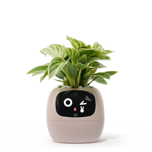 PLANTSIO Ivy AI Smart Planter Intelligent Flower Pot for Home Decoration Plants Companion Neat Desk Setup Gift Pet Planter Robot Guidance on Plant Care with Emojis (Pink)