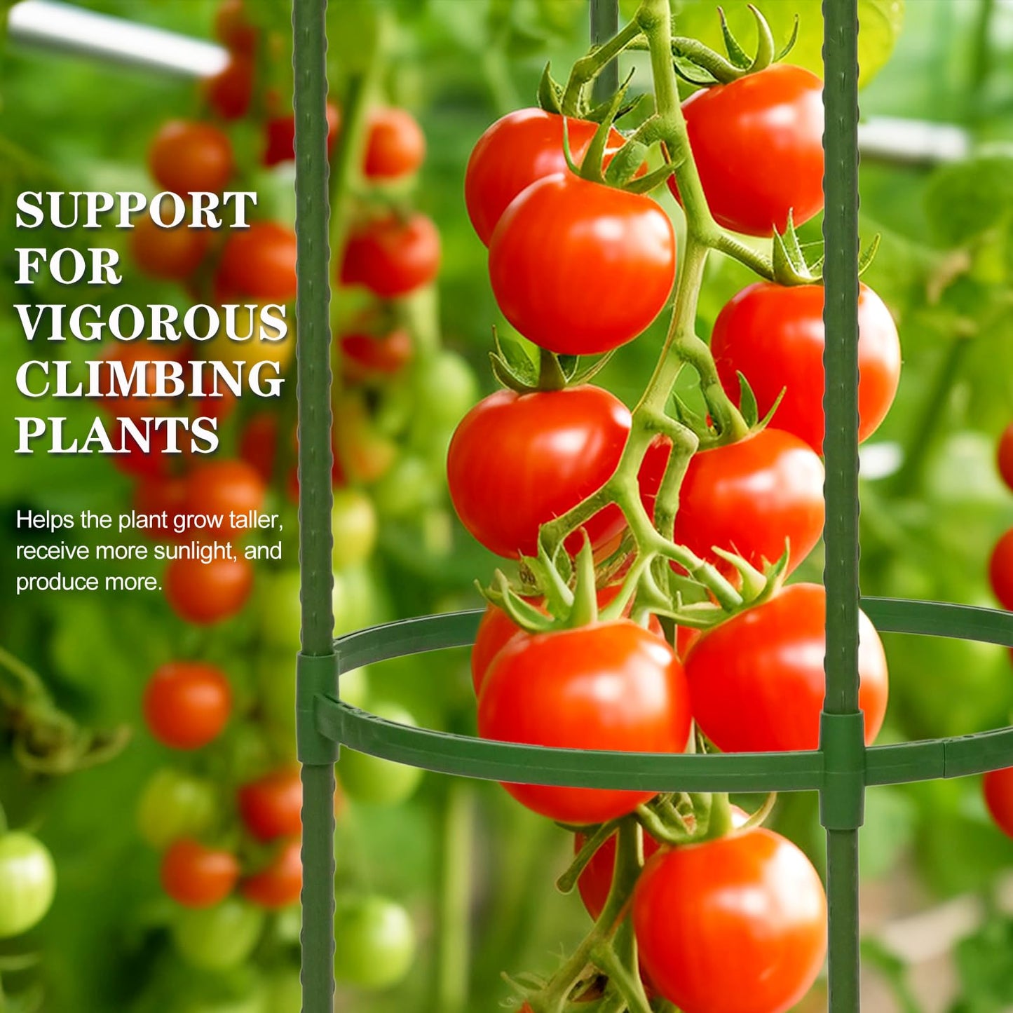 Tiuire Tomato Cages for Garden,4 Pack 50in Tall Tomato Plant Support Stakes Adjustable Heavy Duty Steel Plant Tower Stakes, Updated Cucumber Trellis Garden Cages for Climbing Plants Vegetable Flowers