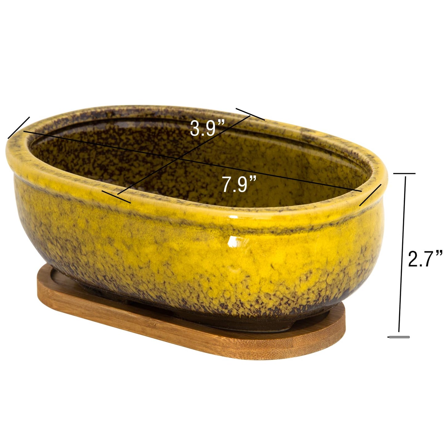 ARTKETTY Succulent Pots, 7.9 Inch Large Succulent Planters with Drainage Tray, Shallow Planters for Indoor Plants Ceramic Cactus Pots Glazed Bonsai Flower Plant Container for Home Windowsill Decor