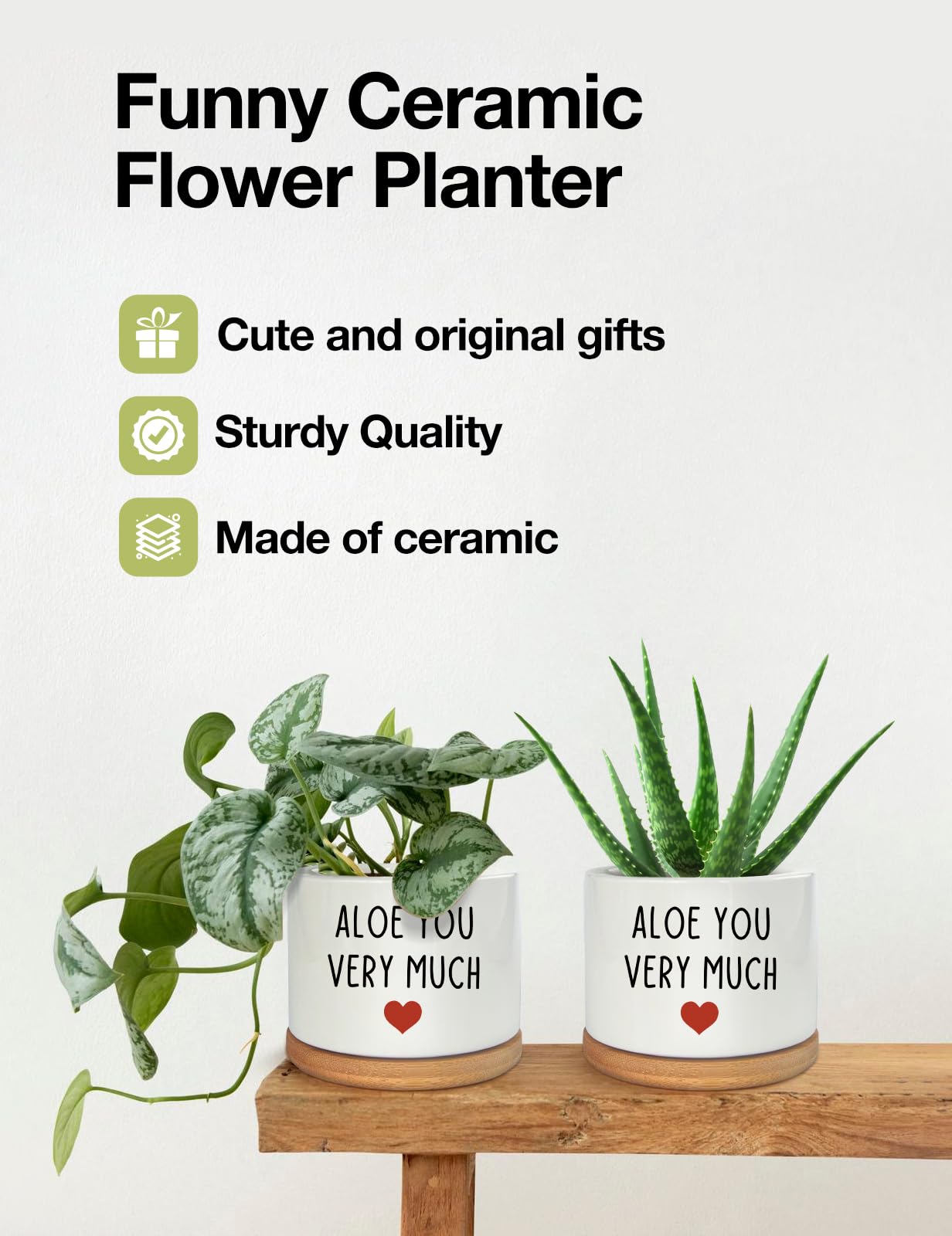 PWHINGN Thank You Very Much Engraved White Ceramic Succulent Planter Pot, Funny Indoor Plant Pot for Home Office Windowsill, Aloe Cactus Flower Pot 3.8 Inch, Plant Pot Gift (Plant Not Included)