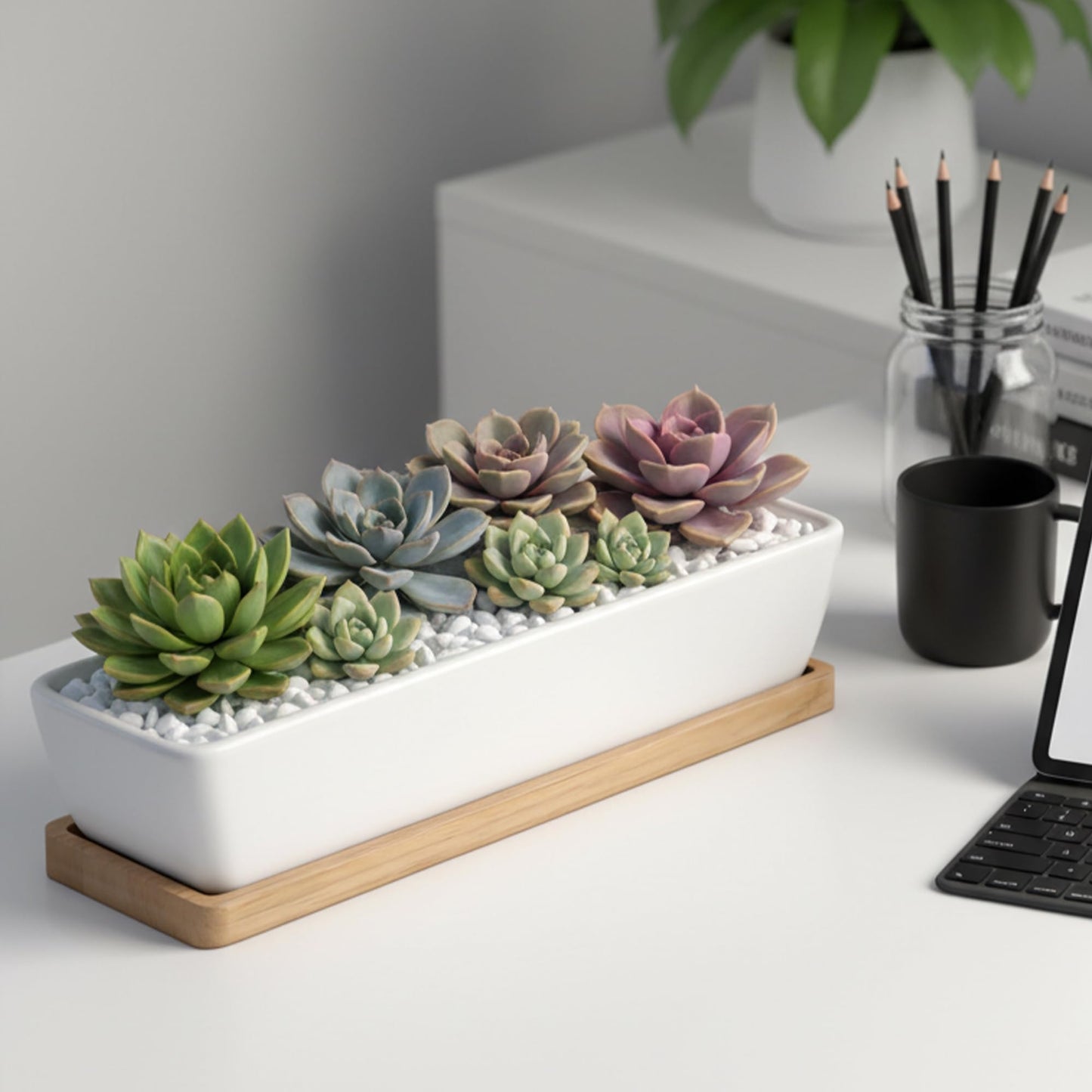 ARVINKEY White Ceramic Succulent Planters, Indoor and Outdoor Succulent Planters, Set of 2 Cactus Containers, Bonsai Pots, Flower Pots with Drainage Hole and Bamboo Bowl (No Plant)