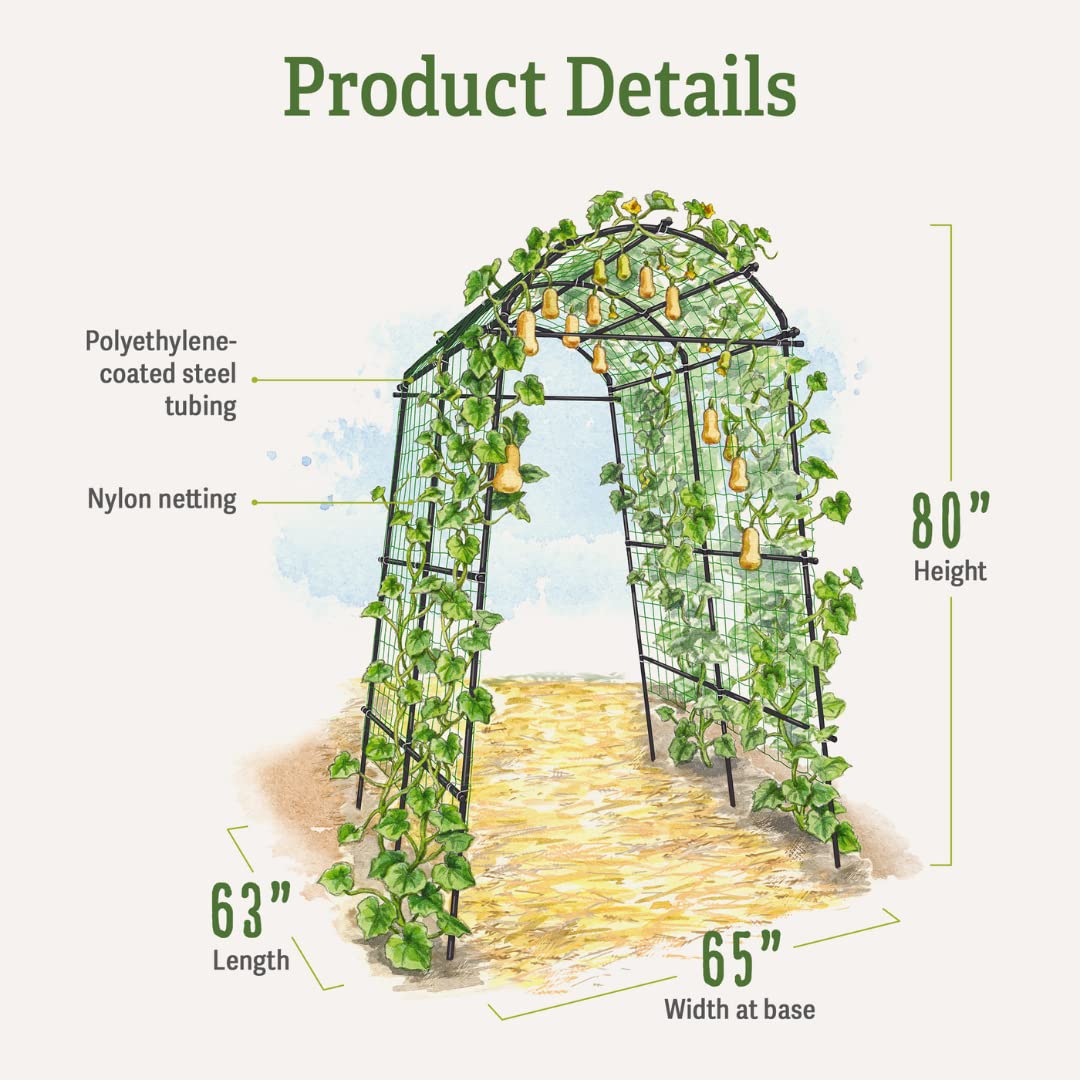 Gardener’s Supply Company Extra Tall Garden Arch Arbor | 80 Inch Tall Titan Squash Tunnel | Lightweight Metal, Trellis Plant Stand for Climbing Vines | Outdoor Lawn Tower & Support Structure
