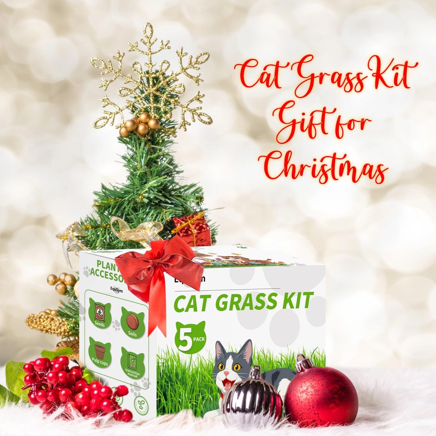 5Pack Cat Grass Seeds Kit - Cat Grass Seeds Growing Set for Indoor Cats, Non GMO Wheat Seed, Nutrient Soil & Planting Tools, Quick Germination, Perfect for Beginners