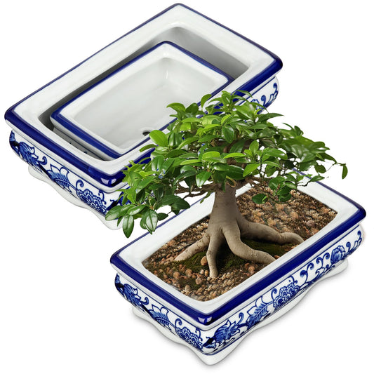 Set of 2 Blue & White Ceramic Bonsai Pots, 7.4" & 4.9" Rectangular Bonsai Planters Pots with Drainage for Outdoor Decor, Small Shallow Bonzie Tree Pot for Succulents, Cacti, Orchids, Herbs Plant Pot