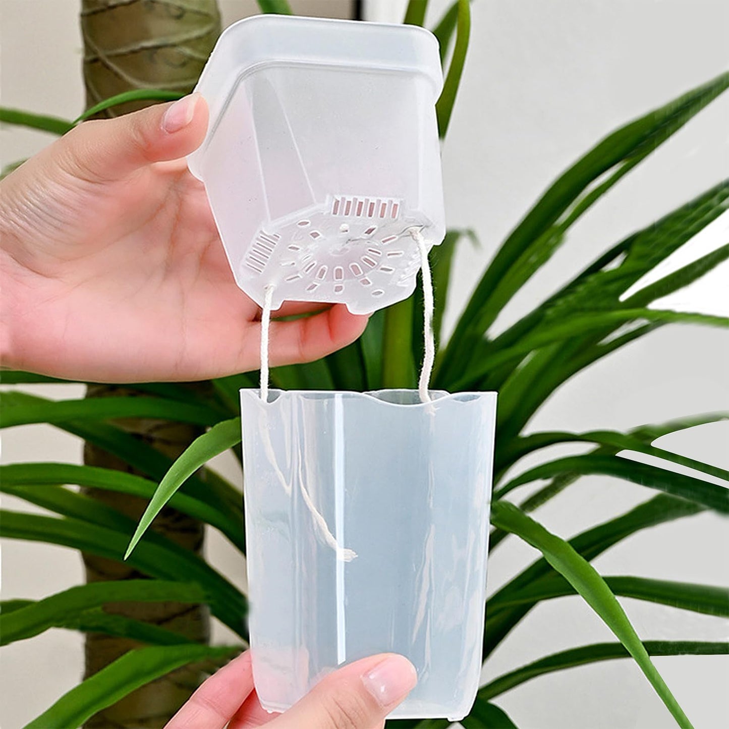 20 Set Clear Self Watering Pots for Indoor Plants, 2'' Mini Self Watering Planters with Wicks & Water Level Indicator, Plastic Automatic-Watering Pot for African Violet, Succulent (Plant Not Included)