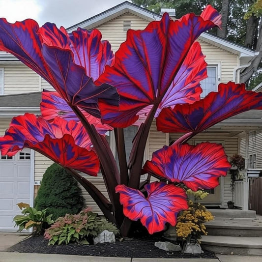 EDRHTJG Giant Leaf Foliage-Elephant Ear-Alocasia for Outdoor Garden Patio Decor Natural Vibrant Tones-Fills Space Fast (6)