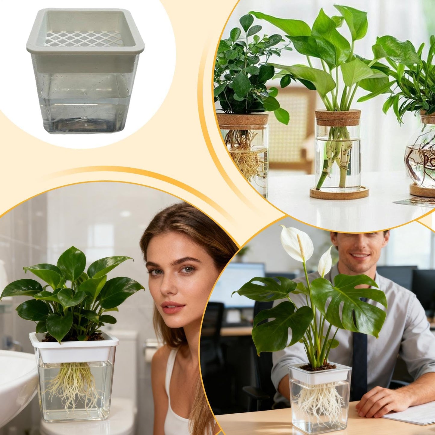 Plant Pot - Transparent Plant Containers - Hydroponic Containers - for Semi-Hydro Cuttings Seedlings African Violets Balcony Desk Garden Porch Windowsill Bedroom Living Room Yard
