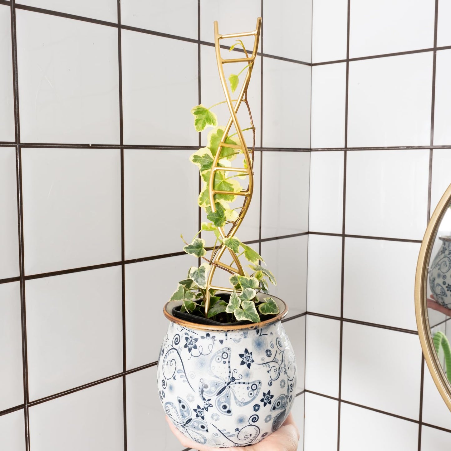 Yohsnor 3PCS DNA Plant Trellis Indoor and Outdoor - Lightweight Metal Trellis for Potted Plants, Hoya & Pothos Climbing Support, Artistic Geometric Design, Durable & Easy Installation
