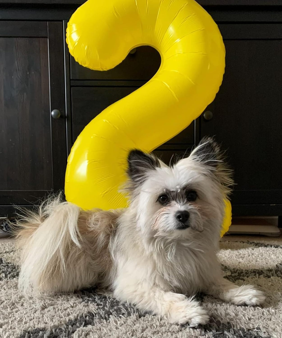 Number 6 Balloon - 40 Inch Yellow Birthday Decoration for Men & Women | Perfect for 6th Birthday Parties