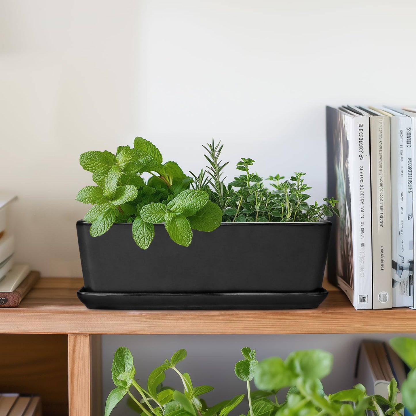 SQOWL Rectangle Planter - 10 Inch Ceramic Plant Pots with Drainage Hole and Saucer, Rectangular Succulent Planters for Indoor Plants, Flower Cactus Herb Pots Outdoor, Room Decor, Garden Gifts, Black