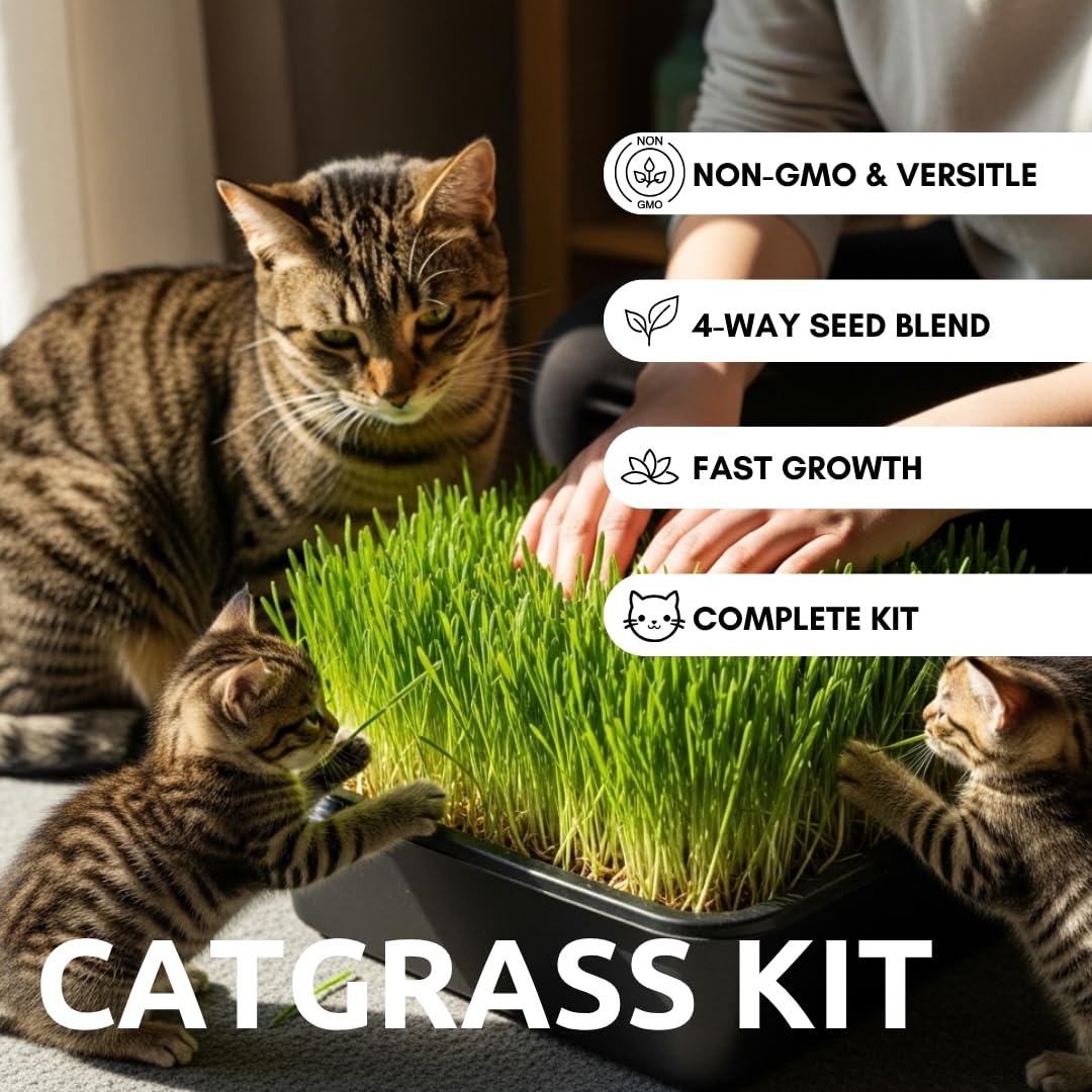 Cat Grass Growing Kit - Cat Lover Holiday Gift - Organic Seed, Jute Grow Mats, No Tools Needed - 10 x 10 Grow Container - Great for Indoor or Outdoor Pets - Complete Set - White Elephant