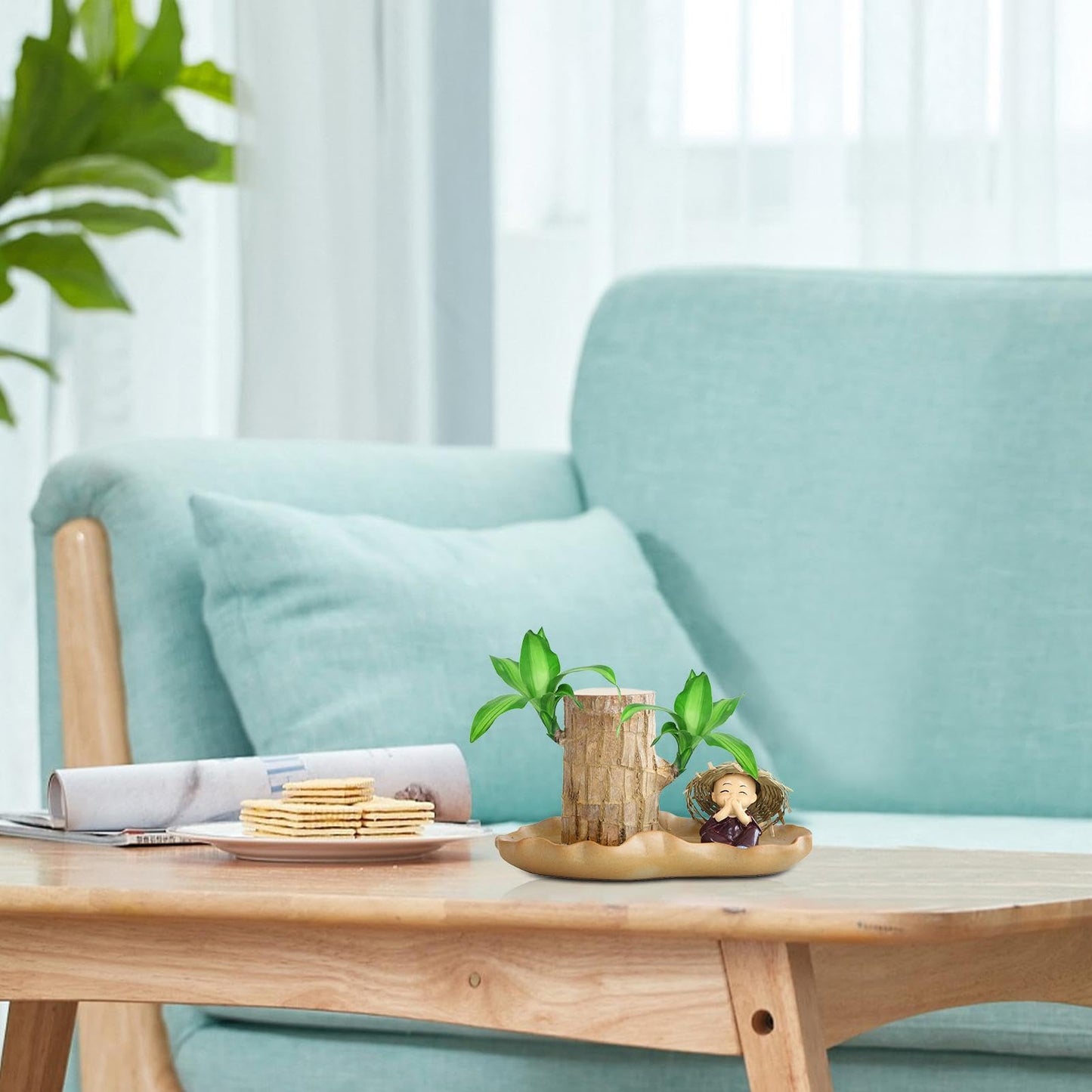 Brazilian Wood Plant, Brazilian Lucky Wood Plant with Pot, Brazilian Wood Hydroponic Plant for Purifying Indoor Air, Brazilian Wood Tree Stump, Brazil Lucky Wood Plant for Indoor Offic-e Desktop Decor