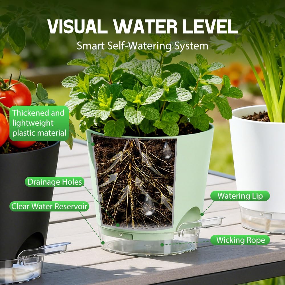 KEETUMOOD Self Watering Pots for Plants, 2026 New Flower Plant Pots with Drainage Holes, Wicking and Clear Reservoirs for Succulent, Aloe, Cacti and Others - 6 Pack (Colorful, 6")