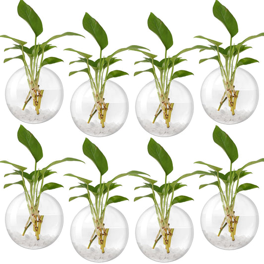 Layhit 8 Pcs Wall Hanging Planters Terrarium Glass Propagation Wall Mounted Planter Oblate Flower Vase Clear Glass Plant Containers for Hydroponics Plants Home Office Garden Decor