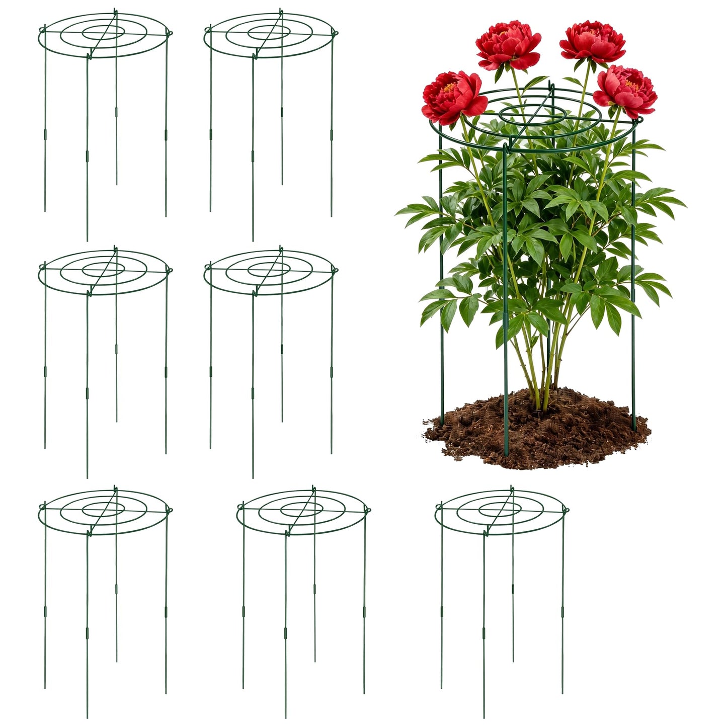 KEOHOLI 8 Pack 11.5" Dx24 H Pack Peony Cages Set Higher Peony Cages and Supports Heavy Duty Metal Plants Support Cage for Outdoor Green Support Rings for Flower Strawberry Tomato Hydrangeas
