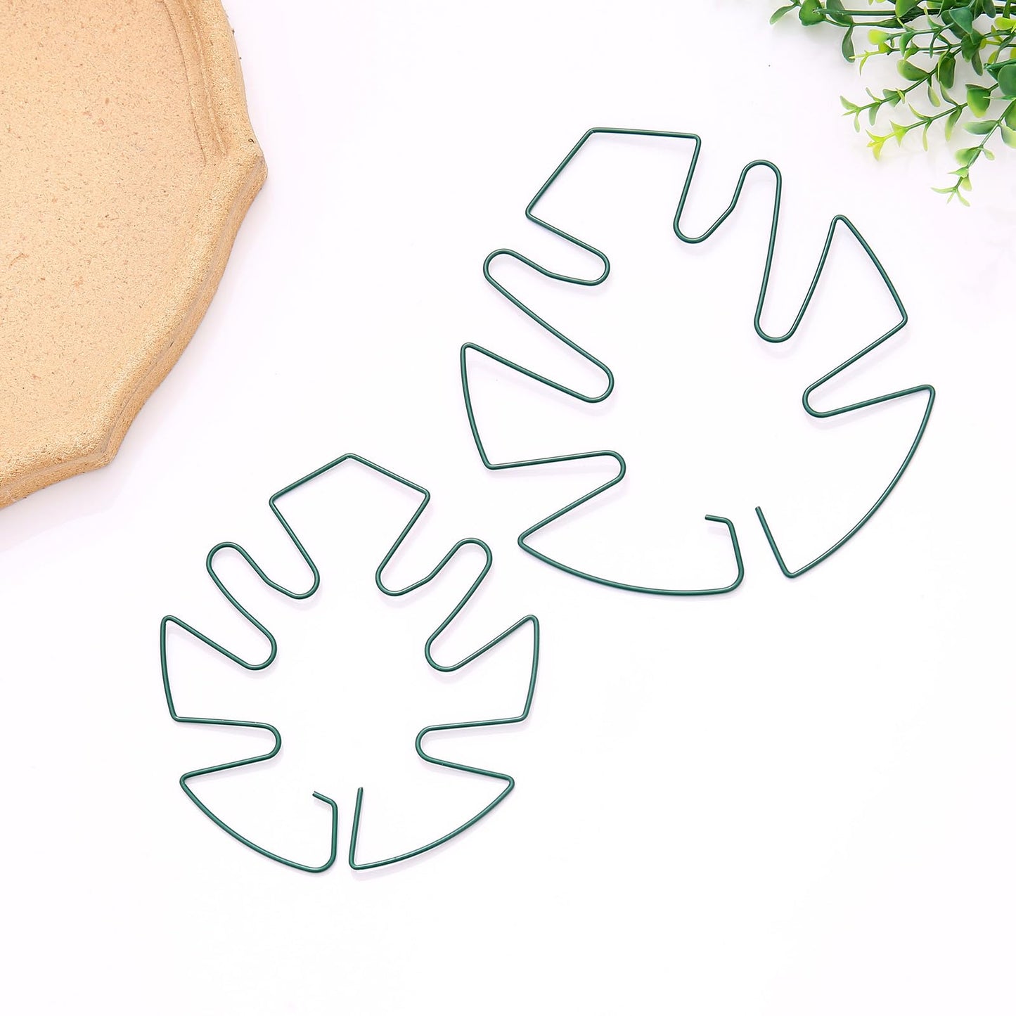 Spiritlele 5 Pcs Green Plant Stem Support Holder Set Monstera Plant Support Clamp Growth Accessories for Indoor Plants Big