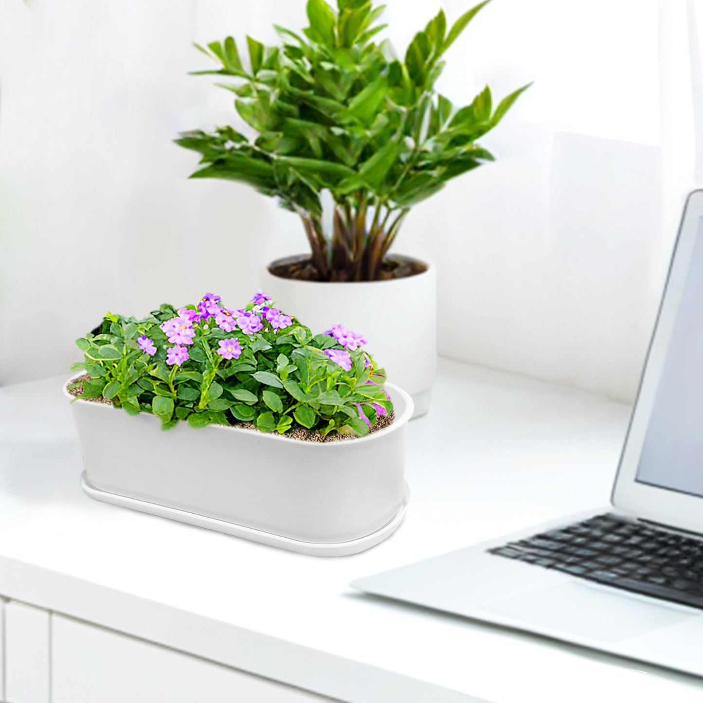 Torfican 5 Set Window Herb Planter Box Rectangular,8.5x3.5 Inch White Plastic Planters with Multiple Drainage Holes and Trays,Indoor Succulent Cactus Mint Flower Pot for Windowsill,Garden Balcony