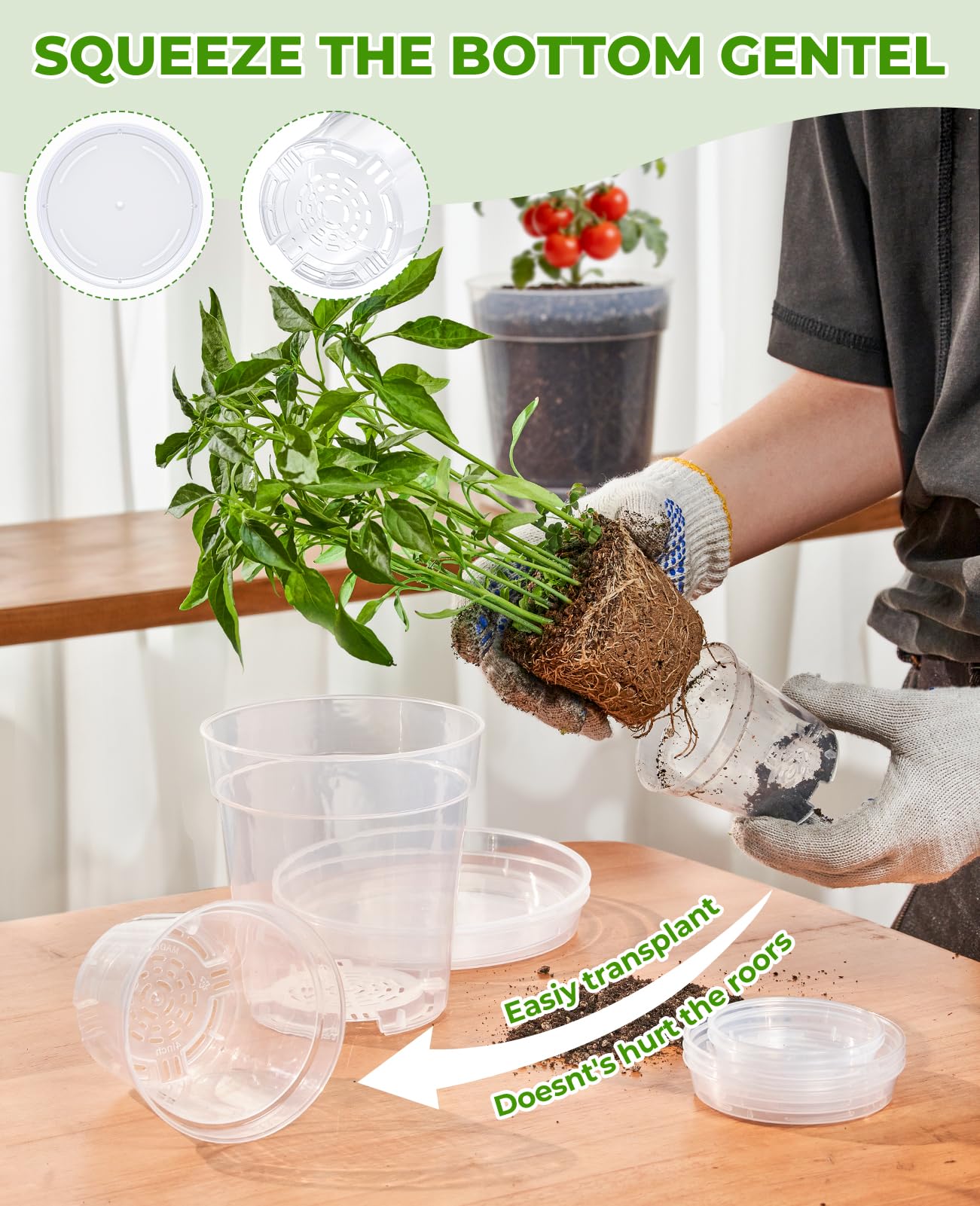 homenote 3 Inch Clear Nursery Pots 60 Pack with Drainage and Plant Saucers, Rigid High Transparency Plastic Nursery Pots for Plants,Thick Walled Planter Nursery Pots with Upgraded Drainage Holes