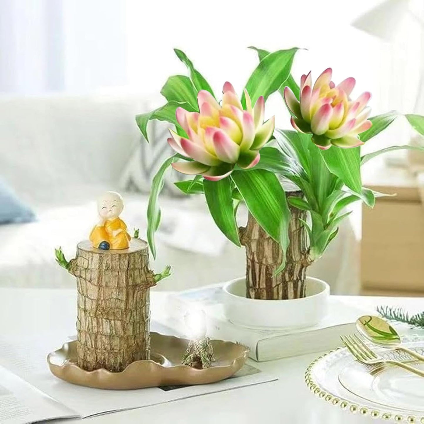Brazilian Lucky Wood Plant Kit, Lucky Wood Doesn't Need to Wait to Sprout, Suitable for Home Office Desk Decor, Natural Air Cleaner (2L)