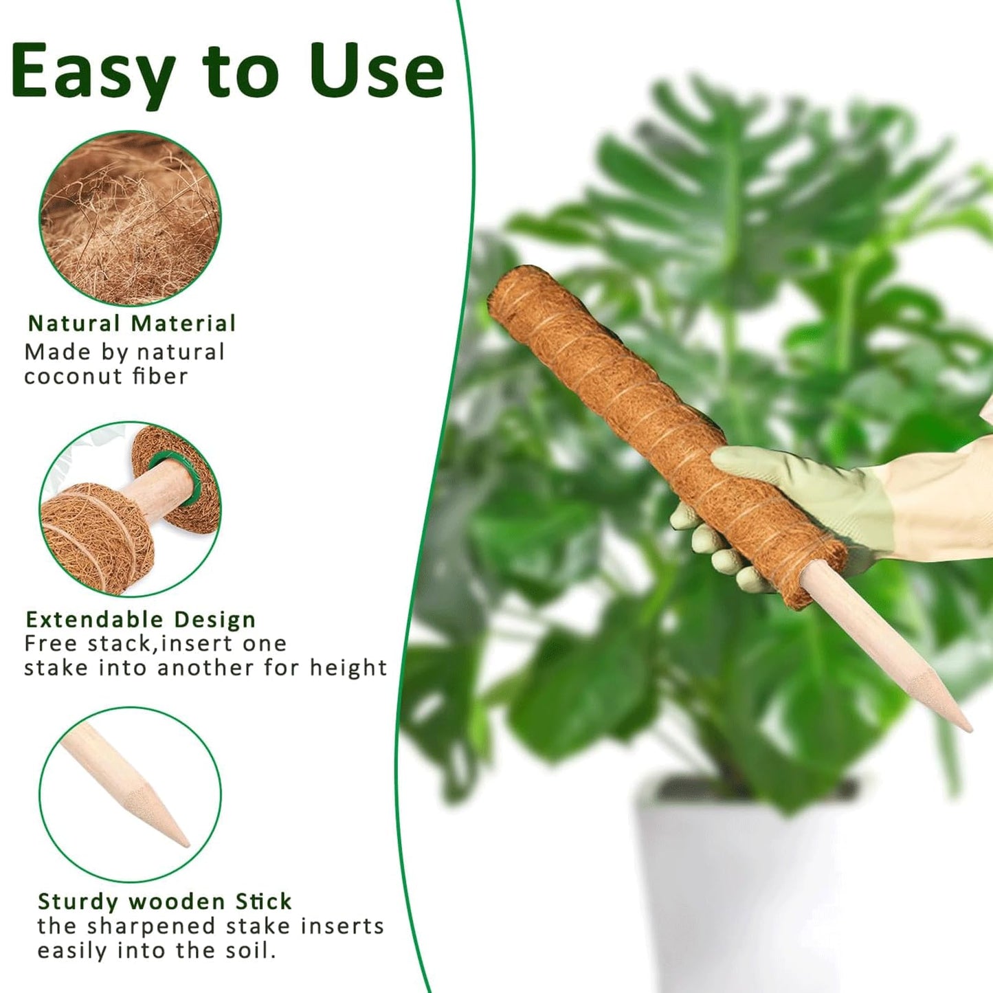 Moss Pole, 2Pack 21 Inch Plant Support Stakes for Indoor Plants, Monstera Plant Support Stakes, 37 Inch Tall Coir Plant Pole Sticks for Potted Plants, Pothos, Philodendron