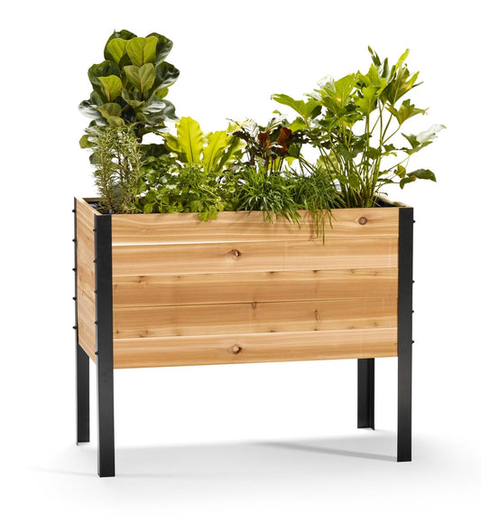 EARTH ELEVATED 100% Canadian Cedar Wood Elevated Garden Bed for Gardening - Planter Pot to Grow Herbs Flowers, and Vegetables at Home Indoor and Outdoor Patio Balcony Deck - 18” x 36” x 30”