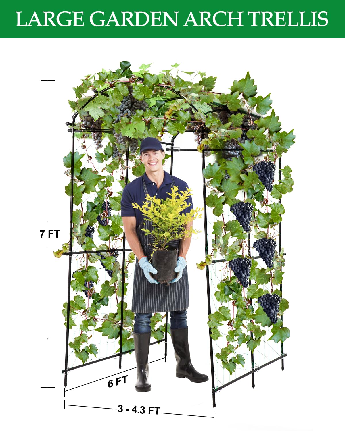Dollate Garden Arch Trellis 7FT, Thickened Steel Frame Garden Trellis for Climbing Plants, Adjustable Width 3-4.3 FT Cucumber Trellis for Raised Bed, Vegetable Fruit Flower Vine