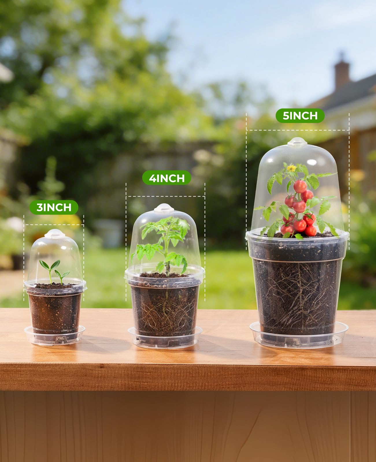 homenote 3/4/5 Inch Clear Nursery Pots 18 Pack with Humidity Domes&Plant Saucers–Rigid Plastic Nursery Pots with Drainage,Transparent Flower Pots for Seedlings,360° Rotary Vent,Indoor Outdoor Garden