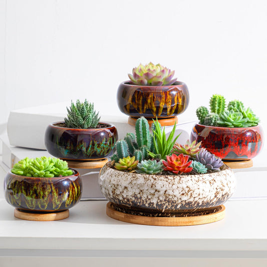 Acellegic 5 Pcs 7.3'' and 4'' Round Large Shallow Succulent Ceramic Planter Pots with Drainage Hole Drip Glazed Shallow Bonsai Pot with Bamboo Tray for Indoor Outdoor Plants Decor Cactus Flower