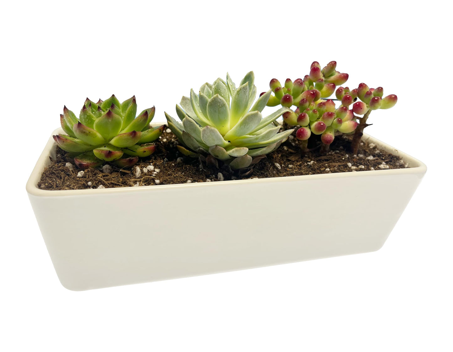 Kipokalor Rectangular White Ceramic Succulent Planter Pot,one Set of 10.19x4.64x3.22inch Modern Minimalist with Ceramic Saucer for Office,Desk,Window.