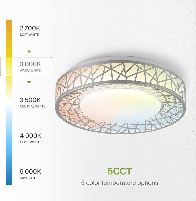 ASD 12 Inch LED Flush Mount Ceiling Light Fixture for Bedroom, 20W 1130LM 5CCT 2700K-5000K, Triac Dimmable Lights, Dining, Living Room, Kitchen Lamps, Modern Home Lighting Fixtures, Nickel, ETL