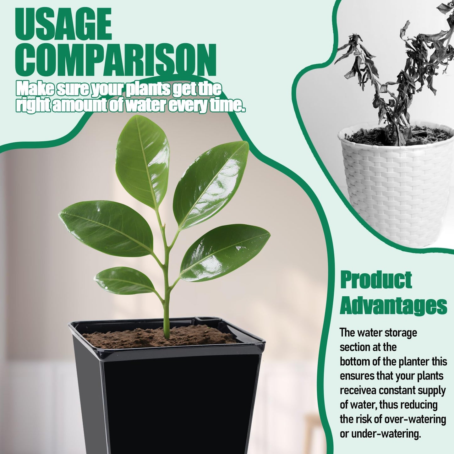 YITOBA 3 Sizes Clear Self Watering Pots Set, Small Flower Pots for Indoor Plants with Visible Reservoir and Wick Rope, Plastic Indoor Planter for Seedlings, Orchid African Violet (Black)