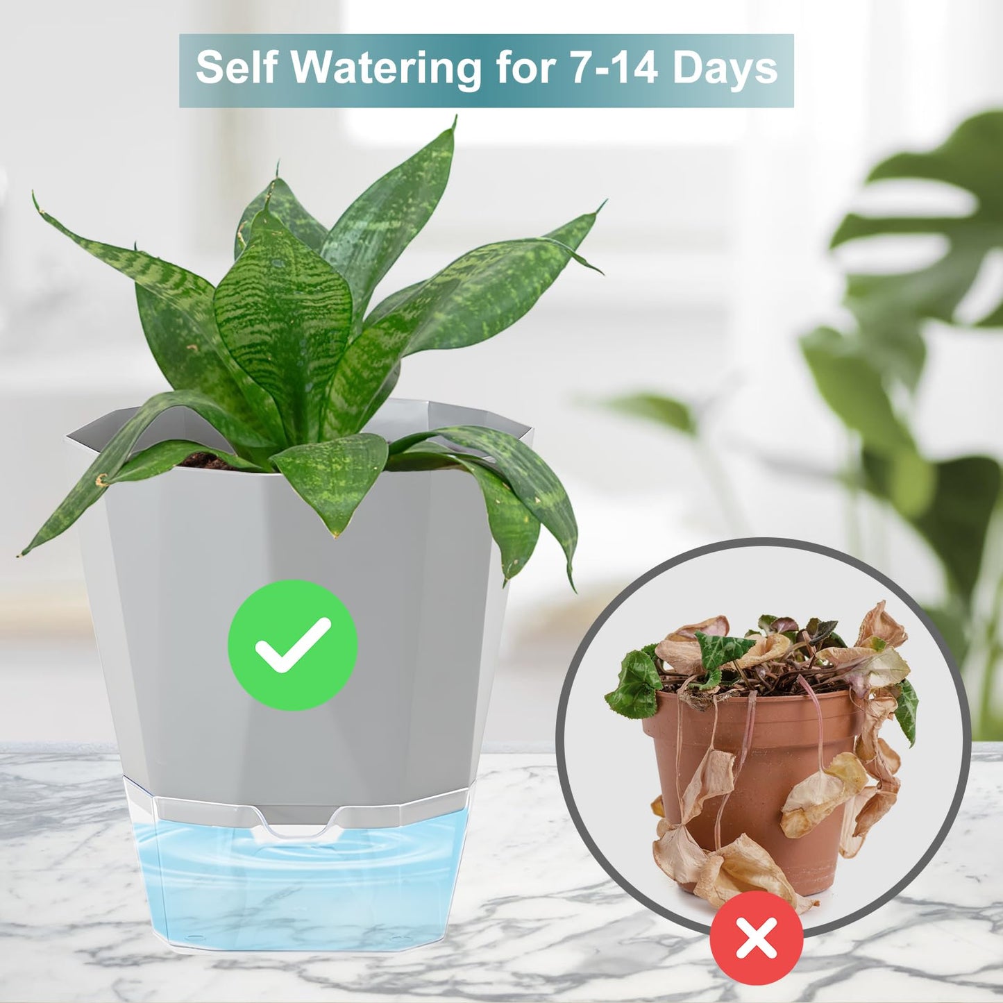 Samhe 3 Pack Self Watering Planter Pots, 4.9 Inch African Violet Pots for Indoor Outdoor Windowsill Gardens, Plant Pot with Wick Rope and Reservoir