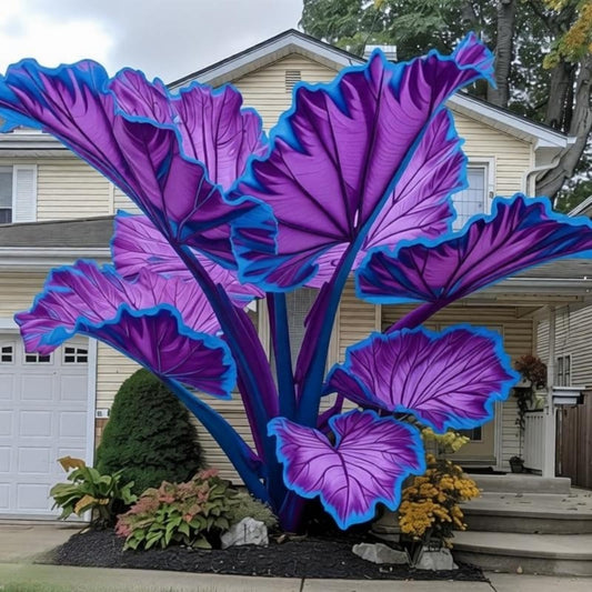 EDRHTJG Giant Leaf Foliage-Elephant Ear-Alocasia for Outdoor Garden Patio Decor-Pretty Mixed Colors (4)