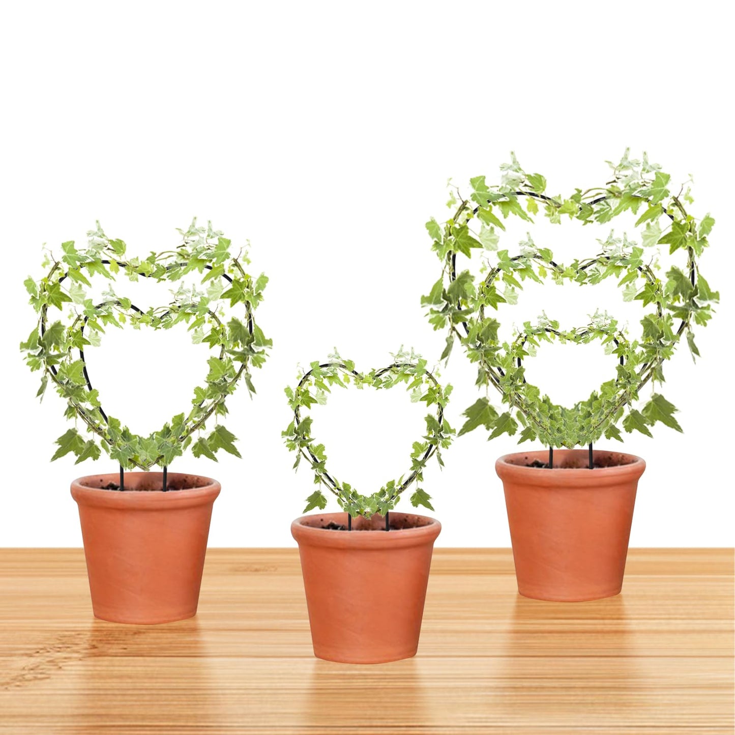 Hoya Trellis 3 Size Indoor Plants Flower Support Stakes Round or Heart Metal Trellis Set Garden Tool Accessories for Small Potted Vine Climbing Houseplants (BlackH)