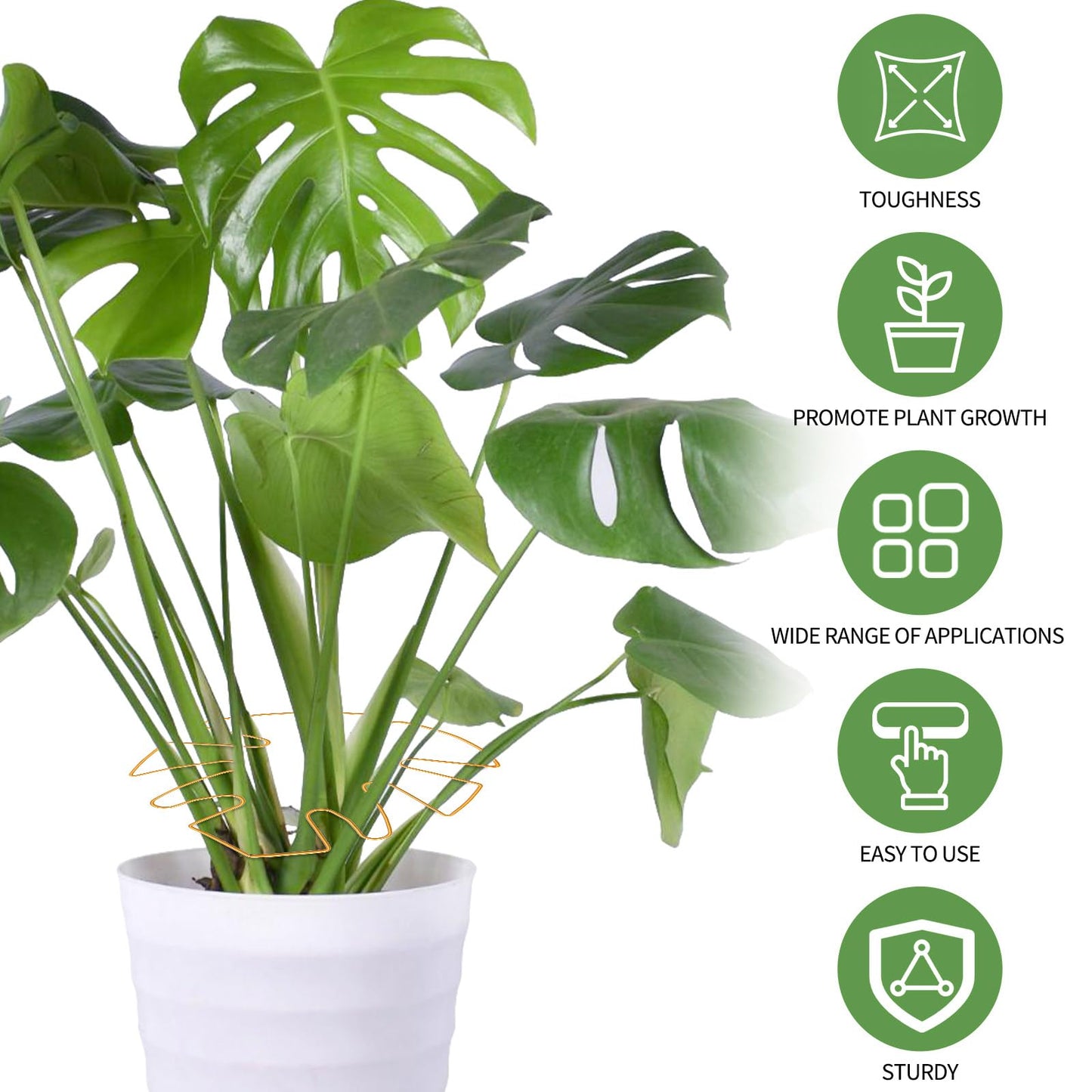 Spiritlele 5 Pcs Yellow Plant Stem Support Holder Set Monstera Plant Support Clamp Growth Accessories for Indoor Plants Big