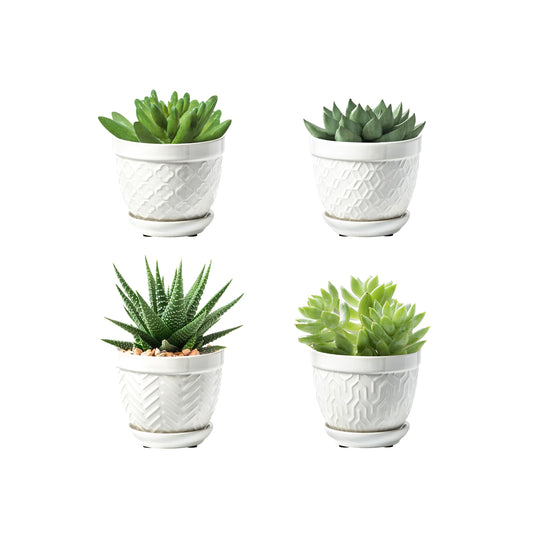 Sureasy Succulent Pots, 3.5 Inch Flower Pots for Indoor Plants, Small Plant Pots with Saucer & Drainage, Decorative Ceramic Planters for Succulent, Cactus, Set of 4, White