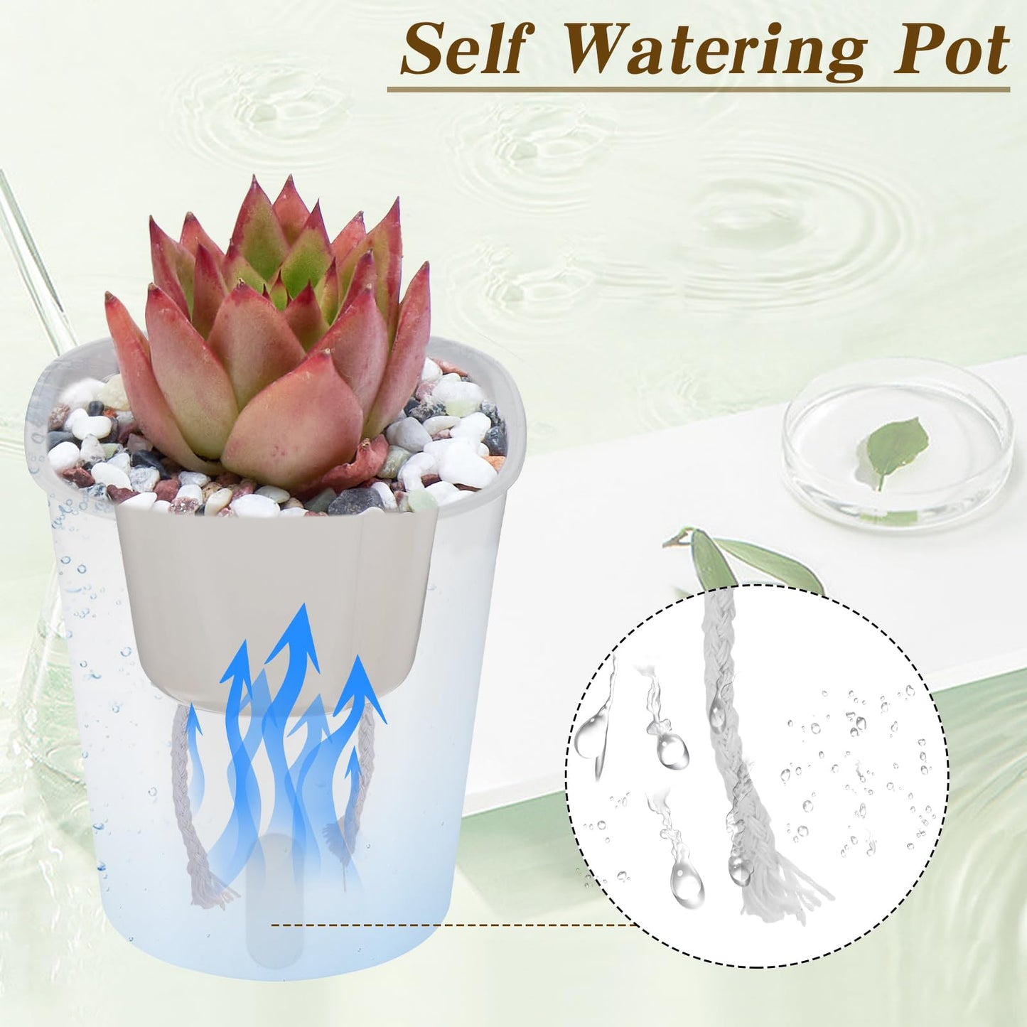 mekueeex 4 Inch Self Watering Pots for Indoor Plants,10 Sets Self Watering Planter Pots with Visual Water Level Window and Multiple Vents,Self Watering Plant Pot for All House Plants,Flowers,Herbs