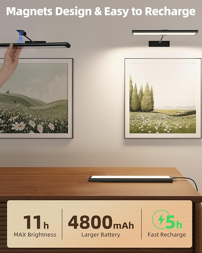 EZVALO Picture Light for Wall, 16'' Black Rechargeable 4800mAh Battery Lights Wireless Remote, Dimmable Magnetic LED Art Painting Light with 3 Color Temperatures, Display for Gallery, Living Room(2P)