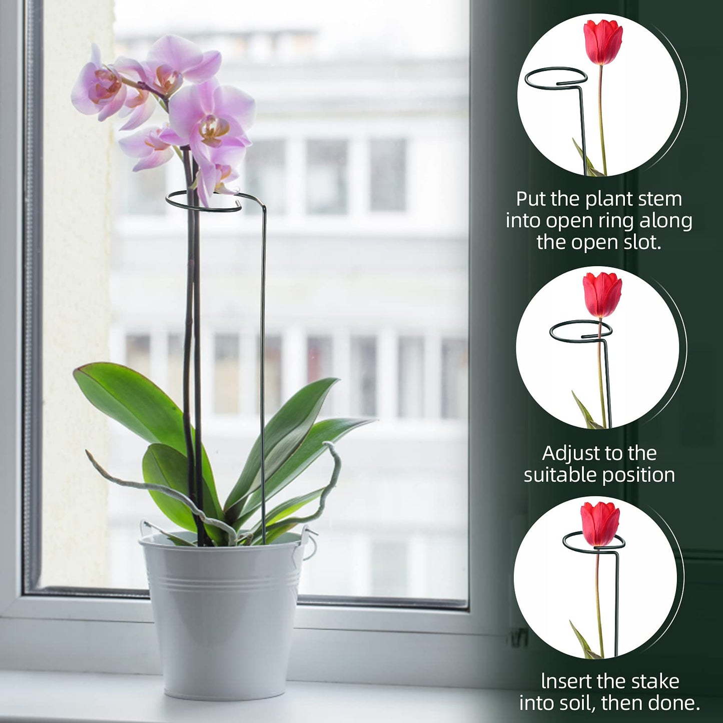 TUXBAWAY 16 Inch Plant Support Stakes (Pack of 7), Garden Single Stem Amaryllis Flower Stake, Metal Plant Cage Support Rings Plants Support Sticks with 10 PCS Plant Clips