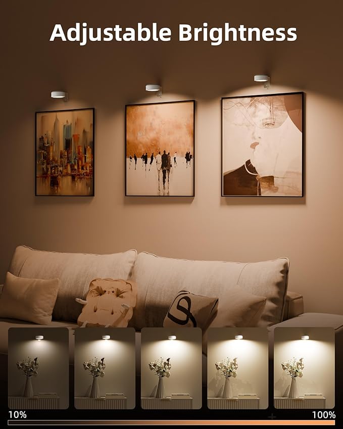 EZVALO Picture Lights for Wall, 2000mAh Rechargeable Battery Magnetic Poster Lights with 3 Color Temps & 12 RGB, Remote Dimmable Timer Painting Light, Wall Decor Light for Art Display, Frame (6 Pack)