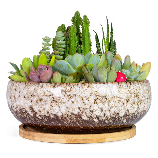 ARTKETTY Succulent Pots - 7.5 Inch Large Plant Pot with Bamboo Tray, Shallow Bonsai Pots with Drainage, Ceramic Planter for Indoor Plants, Cactus, Home Office Desk Decor