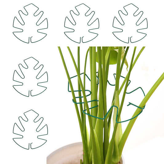 Spiritlele 5 Pcs Green Plant Stem Support Holder Set Monstera Plant Support Clamp Growth Accessories for Indoor Plants Big
