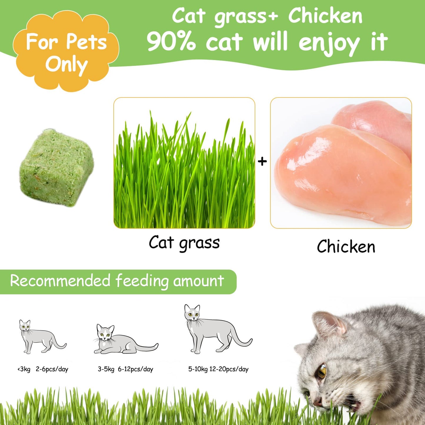HavenJanny 60g Cat Grass Treats for Indoor Cats, Freezed Dried Cat Grass Teething Stick Snacks for Cats, Edible Feline Chew Toys for Hairball Control and Oral Health