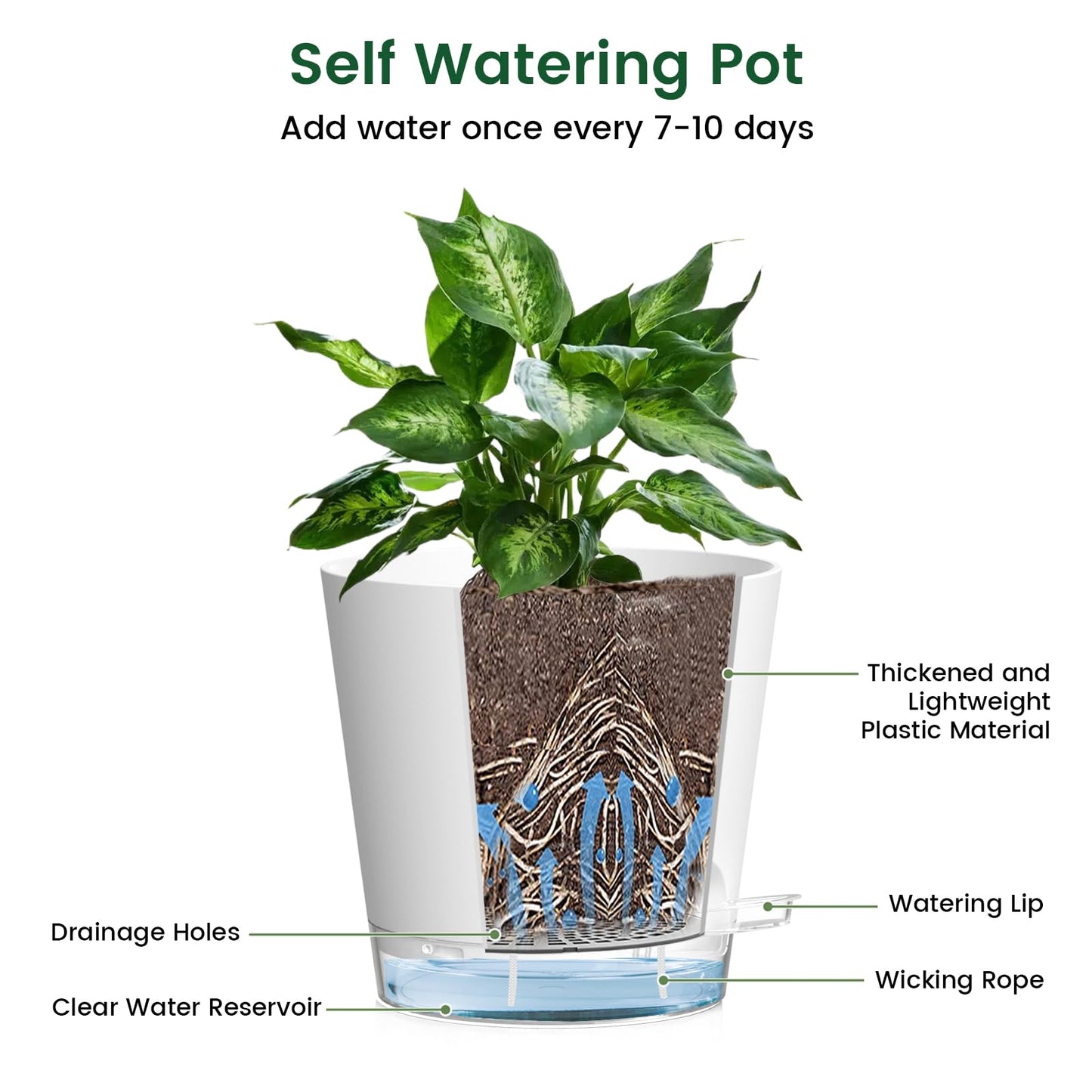 Meowell 6 inch Self Watering Pots for Indoor Outdoor Plants, 6 Pack Flower Plant Pots with Drainage Holes and Clear Reservoirs, Visible Water Level, Plastic Planters with Wicking Rope, White