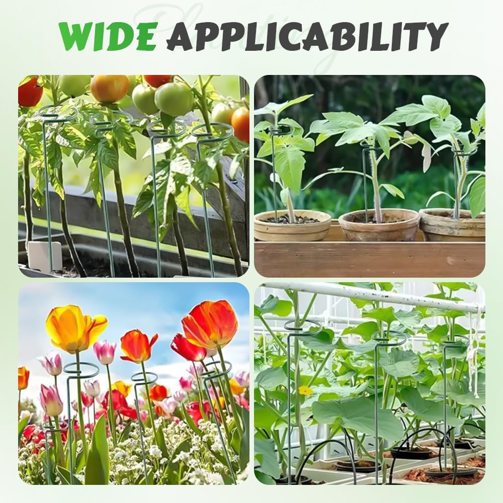 4/8/12 Pack Plant Stakes, 16/24/36 Inch Plant Support Stakes, 2025 New Plant Sticks Support, Flower Stakes for Plants Peony, Tomato Seedling, Marigold, Amaryllis, Sapling, Coreopsis (16 Inch-8 Pack)