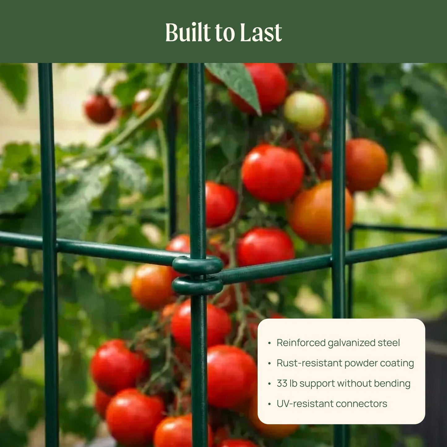 Vego Garden 3 Pack Tomato Cage 14.5"x 58" Square for Garden & Pots, Rust-Resistant Tomato Stackable Heavy Gauge Plant Cage Trellis Support for Climbing Vegetables Plants