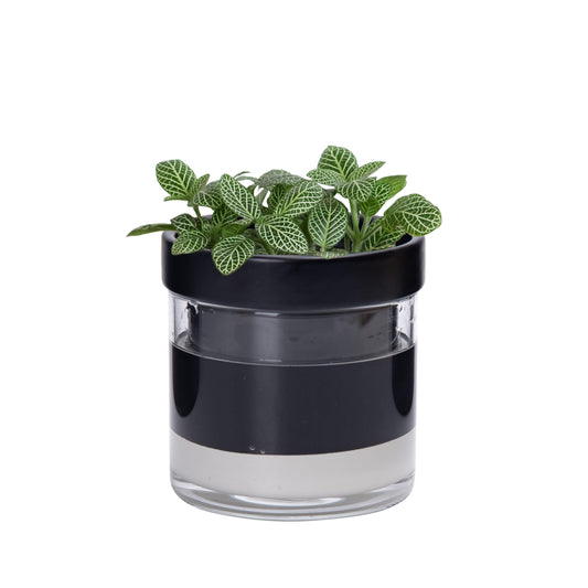 Phoenix Vine 4 Inch Self Watering Terracotta Planter, Black Terracotta Clay Pot with Glass Reservoir for Indoor Plants, Herbs, Flowers, Set of 1, 52-C-E-1