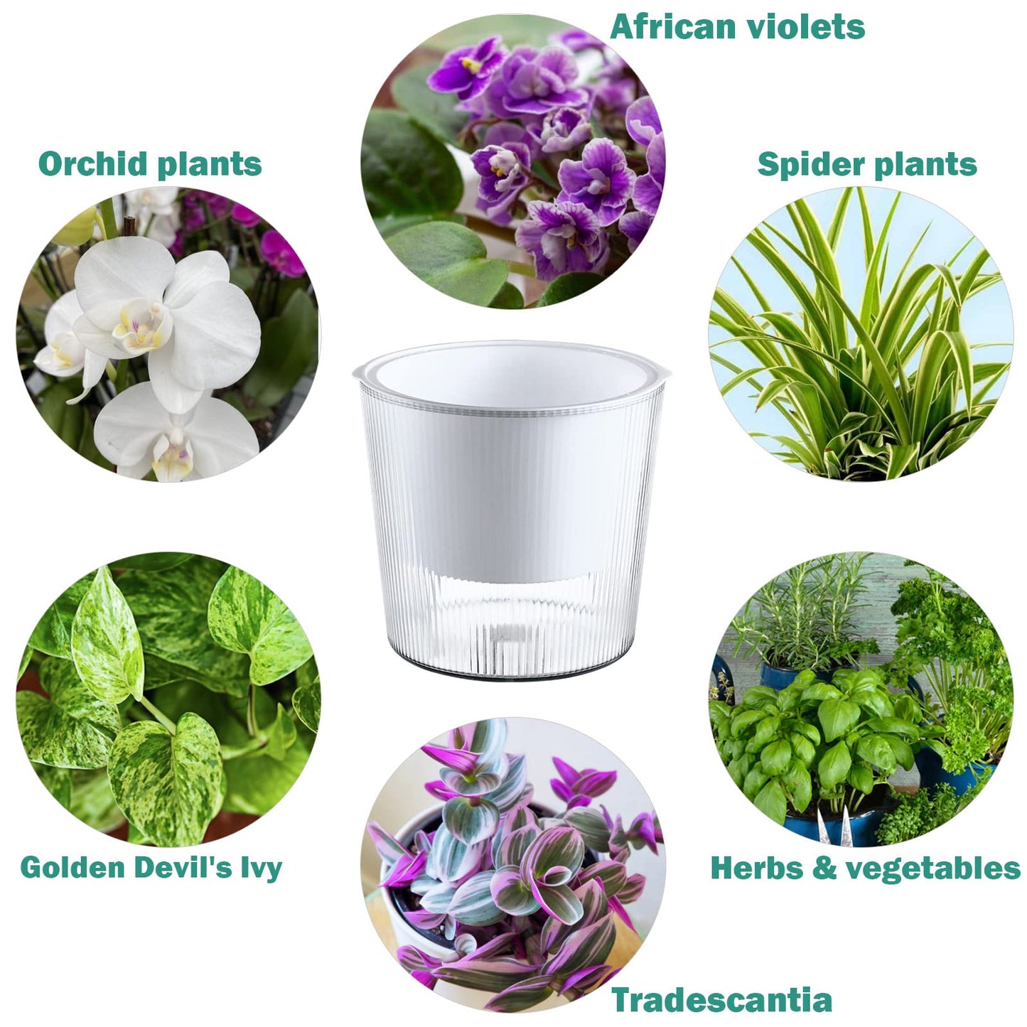 6-Pack 4.5 Inch Clear Self-Watering Planters and Pots for Indoor Plants Medium Orchid Plant Pots Plastic Wick Flower Pots, African Violet Pot Set, Home Decor Pot